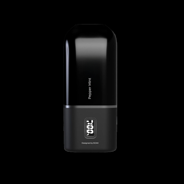 Электронка Soak 13 Pepper Mint Перечная Мята 13000 затяжек в Новосибирске